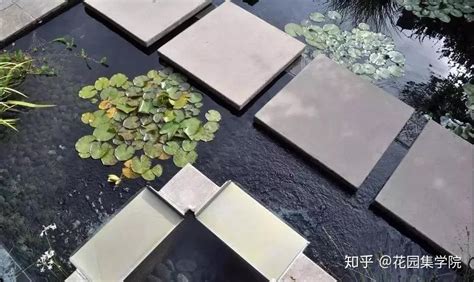 庭院水池|设计一个水景，让庭院瞬间充满灵动的美